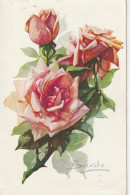 Z+ 6- FLEURS :  ROSES - ILLUSTRATEUR BARDE  - 2 SCANS - Other & Unclassified