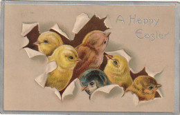 Z+ 7- " A HAPPY EASTER " - CARTE FANTAISIE  GAUFREE -  POUSSINS PERCANT UNE COQUILLE - DAVIDSON BROS' PICTORIAL CARDS - Ostern