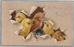 Z+ 7- " A HAPPY EASTER " - CARTE FANTAISIE  GAUFREE -  POUSSINS PERCANT UNE COQUILLE - DAVIDSON BROS' PICTORIAL CARDS - Pâques