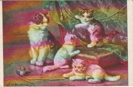 Z+ 7- CHATTE ET TRIO DE CHATONS JOUANT AVEC TENTURE ET BALLON - ILLUSTRATEUR - 2 SCANS - Other & Unclassified