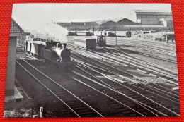 TRAINS - SNCB - HAINE SAINT PIERRE En 1956 -  Vue Sur La Formation Avec Une Locomotive Tender Du Type 16 - Stations - Met Treinen