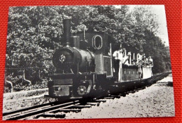 TRAINS - SNCB  - Ligne 115 De REBECQ à ROGNON -  Chemin De Fer Touristique - Trains