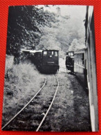 TRAINS - SNCV  - Ligne De TREMBLEUR-MORTROUX à WARSAGE En 1977  - Chemin De Fer Touristique - Trains
