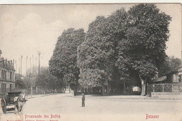 ***  21 ***   BEAUNE  Promenade Des Buttes écrite TTB   - Beaune