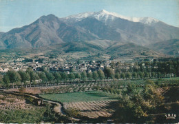 Z+ 16-(66) PRADES  ET LE MASSIF DU CANIGOU - CARTE COULEURS - 2 SCANS - Prades