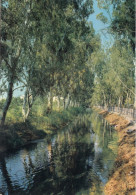 CARTOLINA  C10 LIDO DI SIPONTO,MANFREDONIA,PUGLIA-GARGANO-CANALE DELLE ACQUE ALTE-STORIA,BELLA ITALIA,VIAGGIATA 1968 - Manfredonia