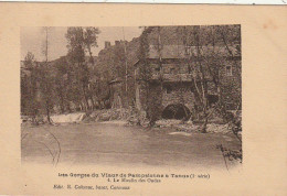 Z++ 10-(81) LES GORGES DU VIAUR DE PAMPELONNE A TANUS - LE MOULIN DES ONDES - 2 SCANS - Autres & Non Classés