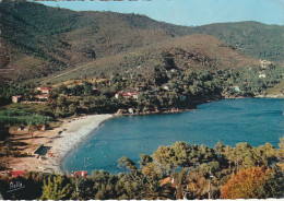 Z++ 15-(83) PRAMOUSQUIER - LA PLAGE VUE DU VILLAGE DE VACANCES DU T. C. F. AU CAP NEGRE  - 2 SCANS - Sonstige & Ohne Zuordnung