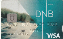 LITUANIA BANK AND DEBIT CARDS N.2 CARDS - POSSIBLE SALE OF SINGLE CARDS - Cartes De Crédit (expiration Min. 10 Ans)