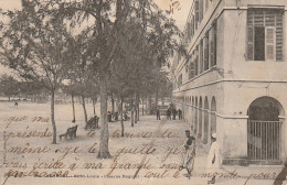 Z++ 30- SAINT LOUIS - CASERNE ROGNIAT ( SENEGAL ) - ANIMATION  - FORTIER , PHOT.  DAKAR - 2 SCANS - Sénégal