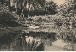 Z++ 31- KRIBI ( CAMEROUN ) - AU BORD D' UN MARIGOT - EDIT. FOURNIER , YAOUNDE - 2 SCANS - Cameroun