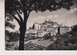 TOLFA ROMA  PANORAMA  VG 1956 - Other & Unclassified