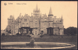 +++ CPA - CELLES - Château De Roisy  // - Celles