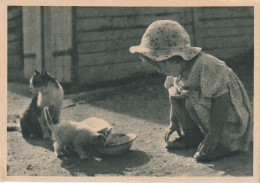 Z+ Nw 34- FILLETTE AVEC CHATTE ET COUPLE DE CHATONS  A LA PATE - 2 SCANS - Szenen & Landschaften