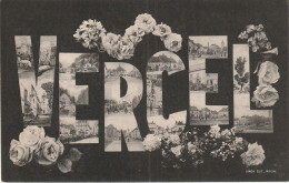 Z+ Nw 35-(25) VERCEL - CARTE FANTAISIE - LETTRES MULTIVUES - DECOR FLORAL - EDIT. SIMON , MAICHE - Greetings From...