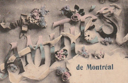 Z+ Nw 35-(32) AMITIES DE MONTREAL - CARTE FANTAISIE - DECOR FLORAL - Gruss Aus.../ Grüsse Aus...