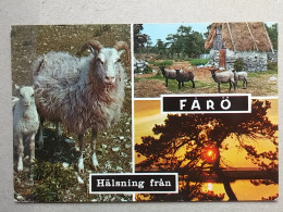 KOV 536-32 - SWEDEN, FARO, SHEEP, MOUTON - Schweden