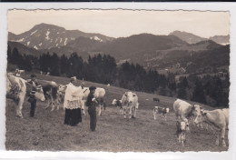 Chatel-St.-Denis, Les Paccots, Les J'Etherpi. La Bénédiction Du Troupeau. Abbé Bernard Kolly - Andere & Zonder Classificatie