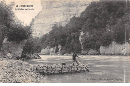 BELLEGARDE - Le Rhône Au Paradis - Très Bon état - Bellegarde-sur-Valserine