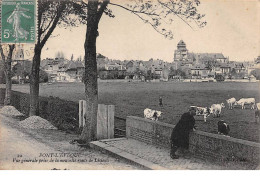 PONT L'EVEQUE - Vue Générale Prise De La Nouvelle Route De Lisieux - Très Bon état - Pont-l'Evèque