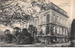 SALINDRES - Le Château De L'Usine - état - Autres & Non Classés