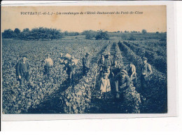 VOUVRAY : Les Vendanges De L'Hôtel-Restaurant Du Pont-de-Cisse - Très Bon état - Vouvray