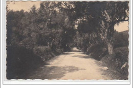 Carte Photo MORETTI - Sur La Route De LURI - Très Bon état - Autres & Non Classés