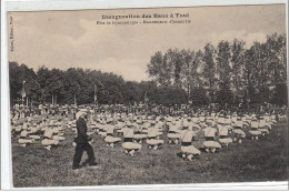 TOUL : Inauguration Des Eaux - Fête De Gymnastique - Mouvement D'ensemble - Très Bon état - Toul