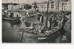 SAINT-JEAN De LUZ : La Peche Au Thon Arrivée D'un Thonier - Tres Bon Etat - Saint Jean De Luz