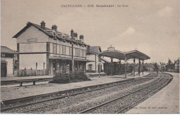 SEMBADEL : La Gare Vers 1910 - Très Bon état - Sonstige & Ohne Zuordnung