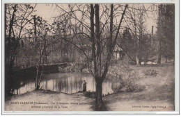 SIGNY L'ABBAYE : Le Gibergeon, Source Jaillissante - Affluent Principal De La Vaux - Très Bon état - Other & Unclassified