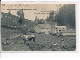 Montagnes Du Doubs, La Charrue - Très Bon état - Otros & Sin Clasificación