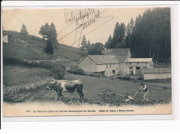 Montagnes Du Doubs, La Charrue - Très Bon état - Otros & Sin Clasificación