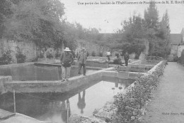 NANTEUIL-en-VALLEE : Une Partie Des Bassins De L'etablissement De Pisciculteur De M.E. Rouillon - Etat - Sonstige & Ohne Zuordnung