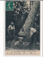 Montagnes Du Doubs, L'Abattage D'un Sapin - Très Bon état - Otros & Sin Clasificación