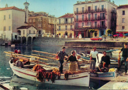 Navigation Sailing Vessels & Boats Themed Postcard Propriano Fishing Vessel - Voiliers