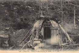 COTE D'OR : Hutte De Charbonniers En Forêt - Tres Bon Etat - Other & Unclassified