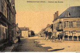 CHATEAUMEILLANT : Avenue Des Ecoles, Toillée - Etat - Châteaumeillant