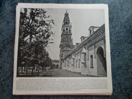 AFFICHE  - PHOTOGRAPHIQUE    -    MOSQUEE ET COUR DES ORANGERS , CORDOUE  , ESPAGNE - Afiches