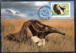 BRAZIL BRASIL BRASILE BRÉSIL1988 WILDLIFE CONSERVATION MYRMECOPHAGA TRIDACTYLA 20cz MAXIMUM MAXI CARD - Maximumkarten