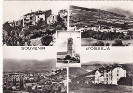 Z+ Nw-(66) SOUVENIR D'OSSEJA - CARTE MULTIVUES - Sonstige & Ohne Zuordnung