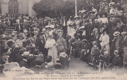 Z+ Nw-(71) CLUNY - FETES DU MILLENAIRE ( SEPTEMBRE 1910 ) - ENTREVUE DU ROI ET DU PAPE DANS LES JARDINS DE L'ABBAYE - Cluny