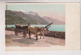 TRENTO   OCHSENFUHRWERK  MIT AUF MONTE BALDO  NO VG - Trento