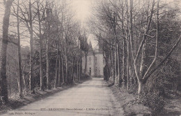 Z++ Nw-(79) BRESSUIRE - L'ALLEE DU CHATEAU - Bressuire