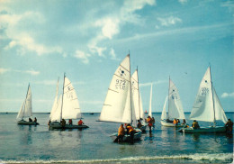 Navigation Sailing Vessels & Boats Themed Postcard Regates Wind Surf - Voiliers