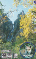 Japan Tamura 50u Old Private 110 - 011 Fox Waterfall Forest - Japon