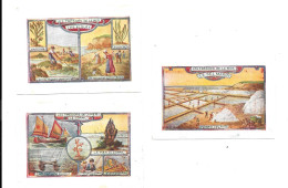 ED04 - VIGNETTES CHOCOLAT MARQUISAT LYON - TRESORS DE LA MER - CORAIL - SEL - MARAIS SALANTS - ALGUES - Altri & Non Classificati