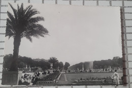 Paris. Vue D'ensemble, Au Jardin Du Luxembourg - Parks, Gardens