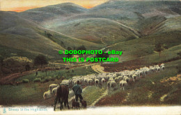 R563973 Sheep In The Highlands. Animal Life. Tuck. Photochrome. Series 1415 - Mondo