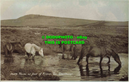 R563976 Dartmoor. Ponies At Foot Of Rippon Tor. E. A. Sweetman. Sunshine Series. - Mondo